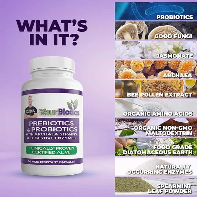 YourBiotics Probiotics 2