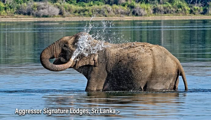 sri lanka home page banner