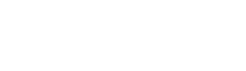 asn network logo horizontal white